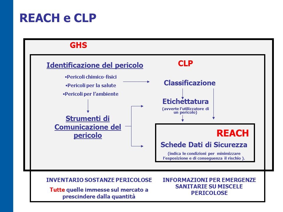 REACH CLP 2